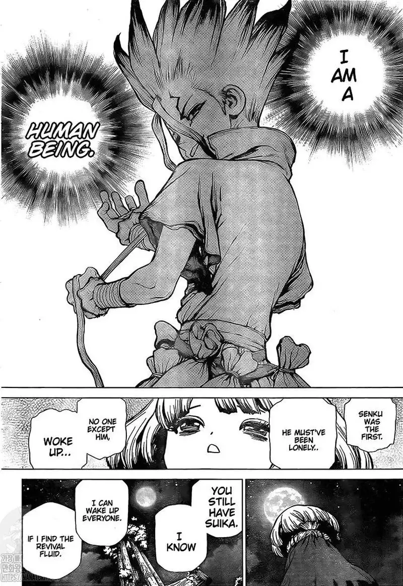 Dr. Stone Chapter 194 15